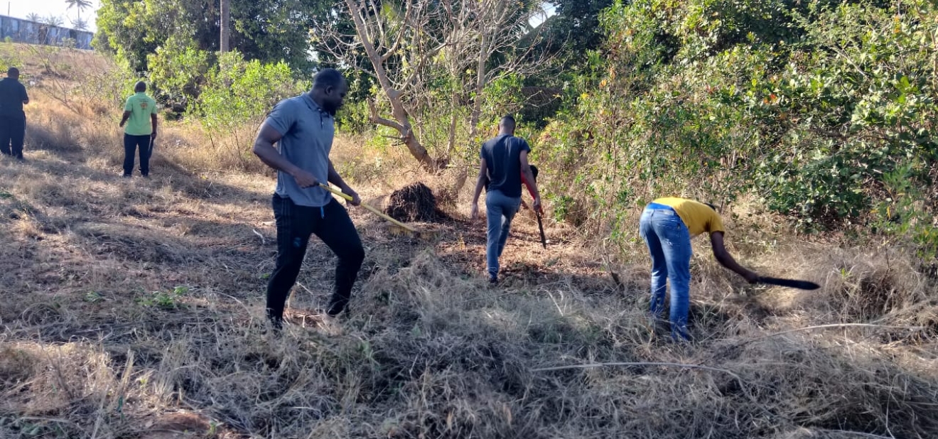 ISPQ e Comunidade Unem Esforços em Jornadas de Limpeza e Cidadania