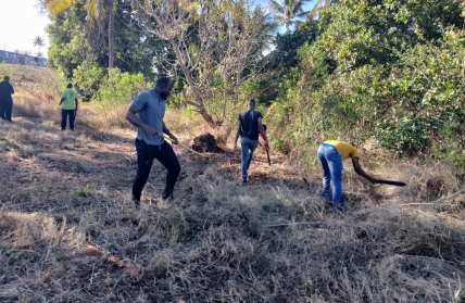 ISPQ e Comunidade Unem Esforços em Jornadas de Limpeza e Cidadania